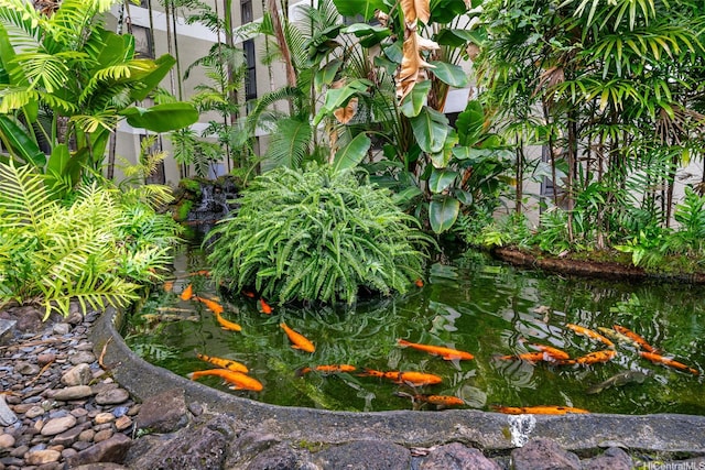 1020 Aoloa Pl Unit 311B, Kailua, HI 96734 - exterior view of a small pond