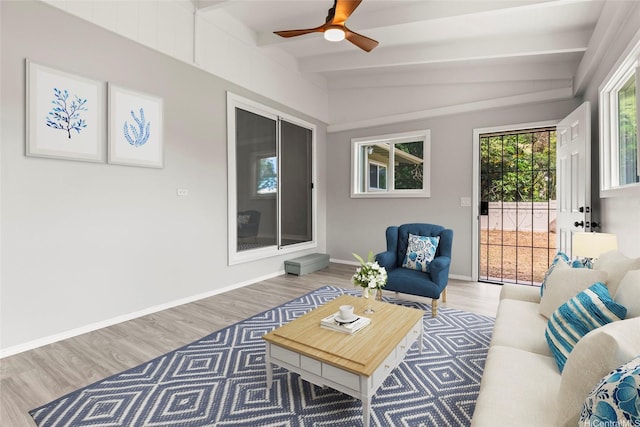 809 Hao St, Honolulu, HI 96821 - photo 18