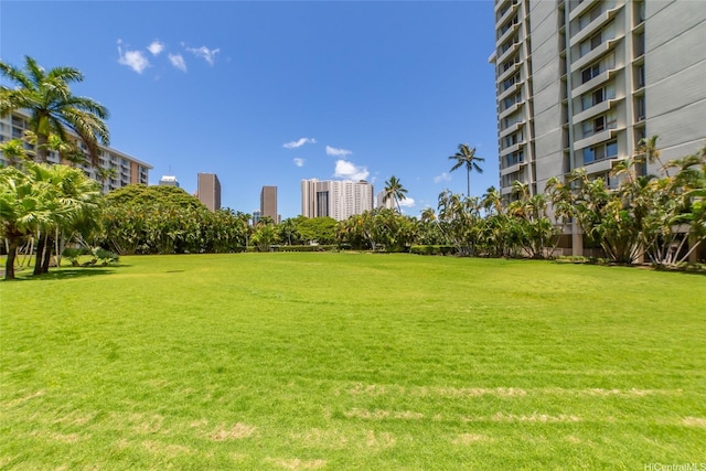 1511 Nuuanu Ave Unit 625, Honolulu, HI 96817 - surrounding community with a lawn and a city view