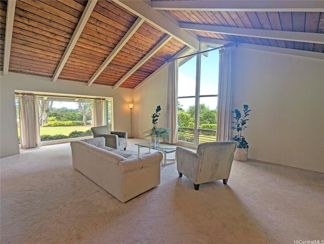 46-426 Hololio St, Kaneohe, HI 96744 - living area with carpet, a wooden ceiling with exposed beams, and high vaulted ceiling
