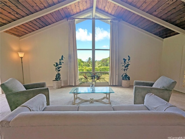 46-426 Hololio St, Kaneohe, HI 96744 - carpeted living area with wood ceiling