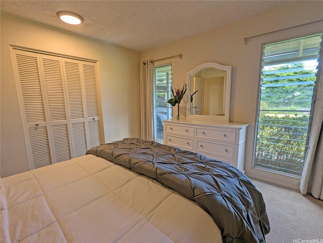 46-426 Hololio St, Kaneohe, HI 96744 - bedroom with carpet, a textured ceiling, and a closet