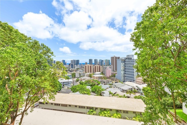 965 Prospect St Unit 604, Honolulu, HI 96822 - view of city skyline