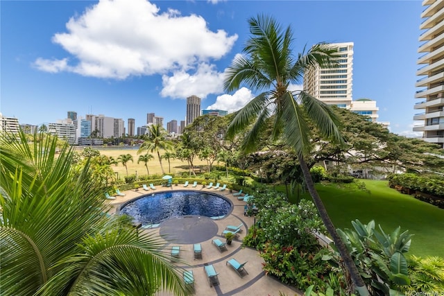 2333 Kapiolani Blvd Unit 311, Honolulu, HI 96826 - community pool featuring a view of skyline