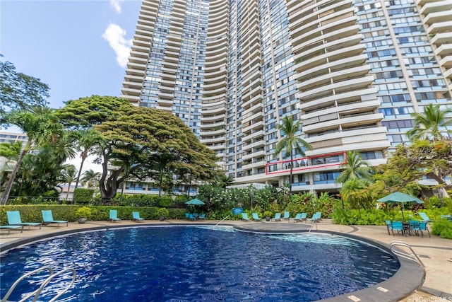 2333 Kapiolani Blvd Unit 311, Honolulu, HI 96826 - view of community pool
