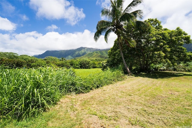 47-318 Waihee Rd, Kaneohe, HI 96744