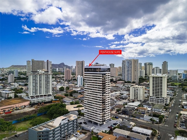 2222 Citron St Unit 2502, Honolulu, HI 96826 - view of city