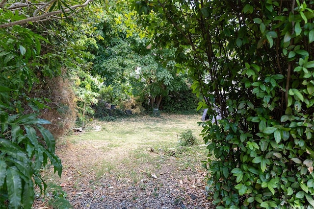1640 Lusitana St, Honolulu, HI 96813 - view of yard