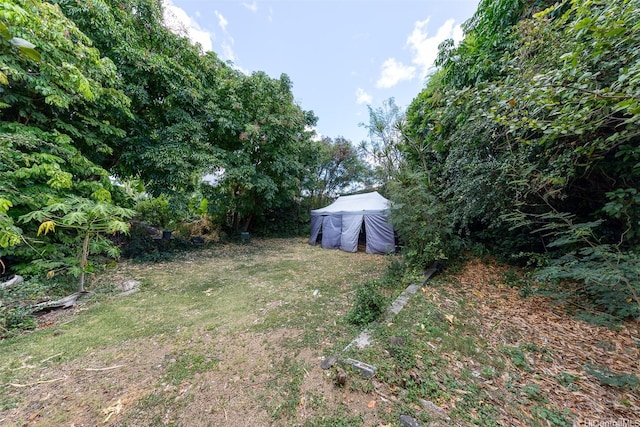1640 Lusitana St, Honolulu, HI 96813 - view of green lawn