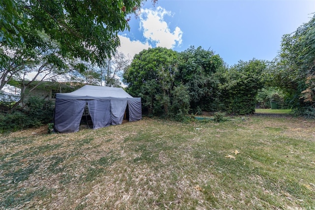 1640 Lusitana St, Honolulu, HI 96813 - view of grassy yard
