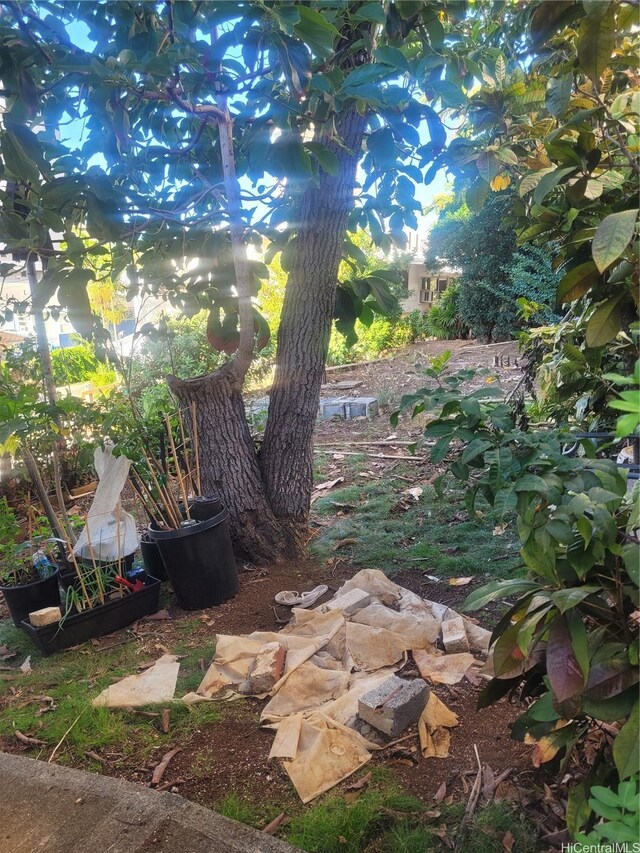 962 Spencer St, Honolulu, HI 96822 - photo 4