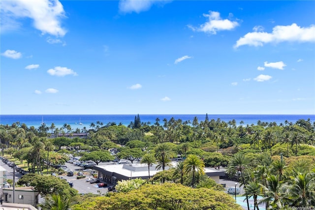 383 Kalaimoku St Unit 1006, Honolulu, HI 96815 - aerial view of a large body of water