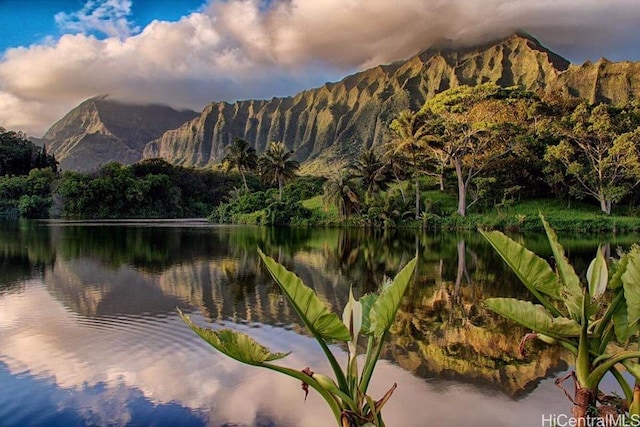 53-549 Kamehameha Hwy Unit 211, Hauula, HI 96717 - water view featuring a mountain backdrop and a heavily wooded area