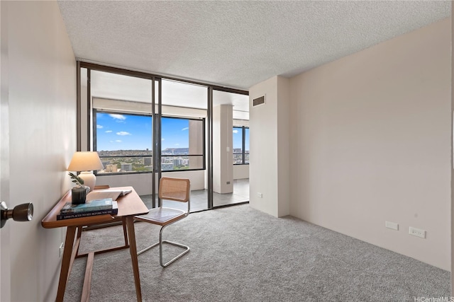 1717 Mott Smith Dr Unit 2811, Honolulu, HI 96822 - office space featuring carpet, a textured ceiling, and floor to ceiling windows