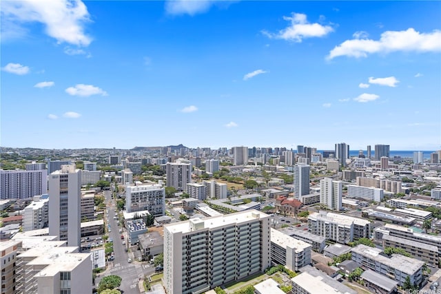 1717 Mott Smith Dr Unit 2811, Honolulu, HI 96822 - view of city