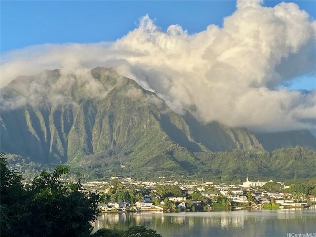 46-035 Konohiki St Unit 3832, Kaneohe, HI 96744 - photo 21
