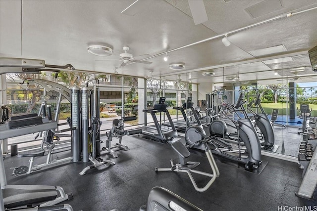 1350 Ala Moana Blvd Unit 3004, Honolulu, HI 96814 - workout area with ceiling fan