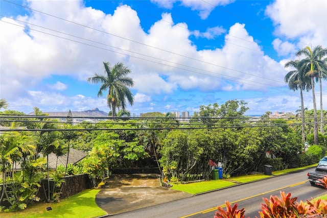 2626 Manoa Rd, Honolulu, HI 96822 - photo 4