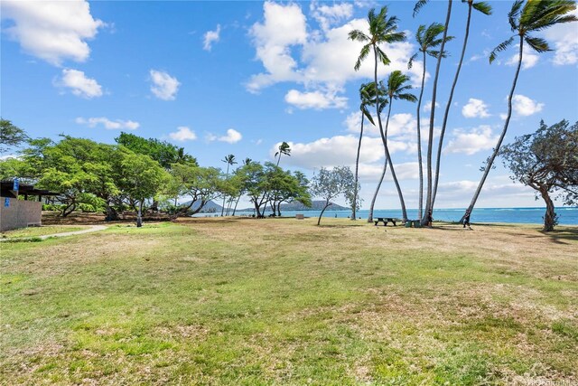 393 E Hind Dr, Honolulu, HI 96821 - photo 22