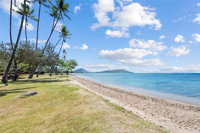 393 E Hind Dr, Honolulu, HI 96821 - photo 23