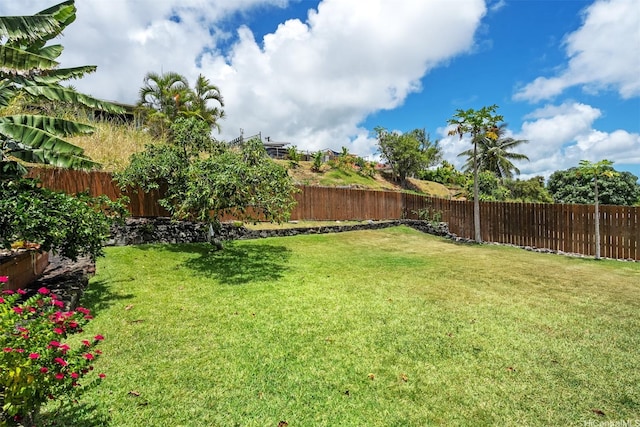 1371 Hele St, Kailua, HI 96734 - view of fenced backyard
