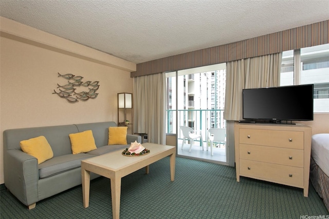 444 Kanekapolei St Unit 705, Honolulu, HI 96815 - living area with carpet flooring, healthy amount of natural light, and a textured ceiling