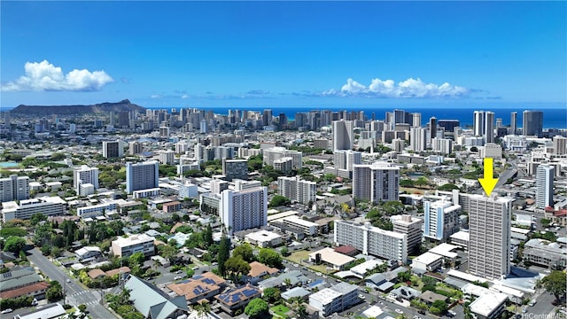 1310 Heulu St Unit 301, Honolulu, HI 96822 - view of urban area with a nearby body of water