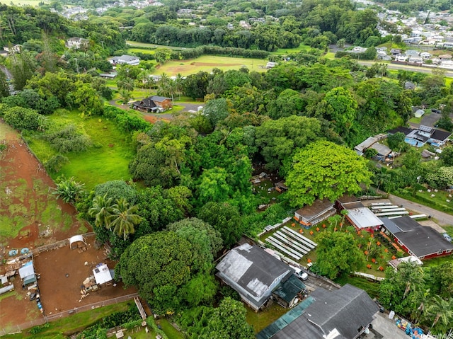 47-66 Okana Pl, Kaneohe, HI 96744 - bird's eye view of a tree filled landscape