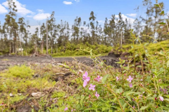 14-3440 Oahu Rd Lot 917, Pahoa, HI 96778 - photo 10