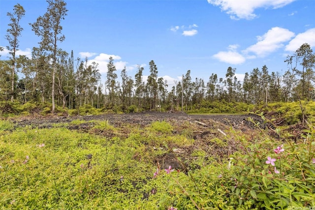 14-3440 Oahu Rd Lot 917, Pahoa, HI 96778 - photo 11