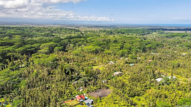 14-3440 Oahu Rd Lot 917, Pahoa, HI 96778 - photo 22