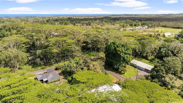 15-646 S Puni Mauka Loop, Pahoa, HI 96778 - photo 24