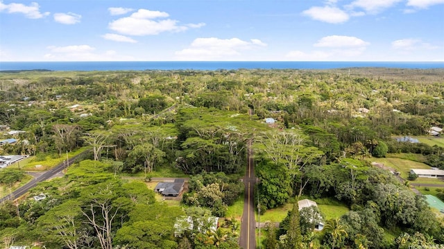 15-646 S Puni Mauka Loop, Pahoa, HI 96778 - photo 25
