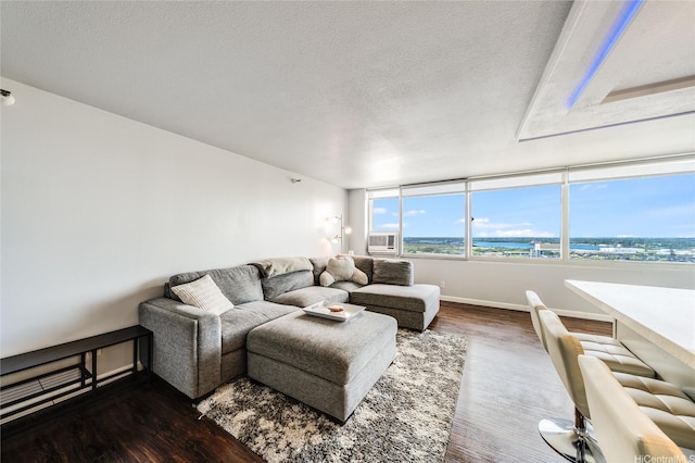 1060 Kamehameha Hwy Unit 1601A, Pearl City, HI 96782 - living area featuring a textured ceiling and dark wood-style flooring