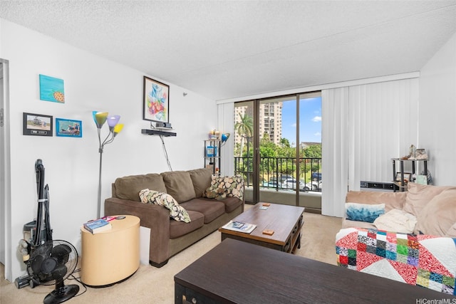 98-402 Koauka Loop Unit 216, Aiea, HI 96701 - living area with carpet floors