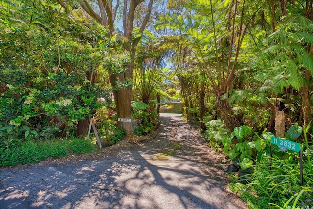 11-3832 2nd St, Volcano, HI 96785 - photo 2