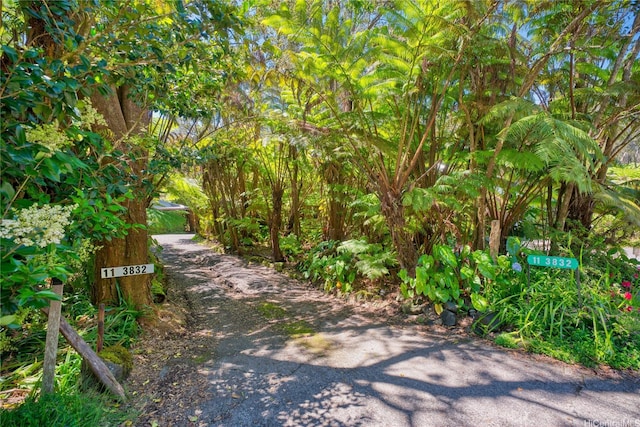 11-3832 2nd St, Volcano, HI 96785 - photo 3