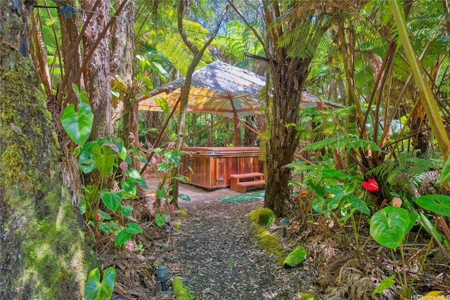 11-3832 2nd St, Volcano, HI 96785 - photo 4