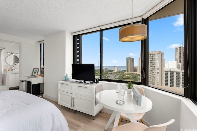 444 Niu St Unit 2403, Honolulu, HI 96815 - bedroom featuring light wood-style floors and a textured ceiling