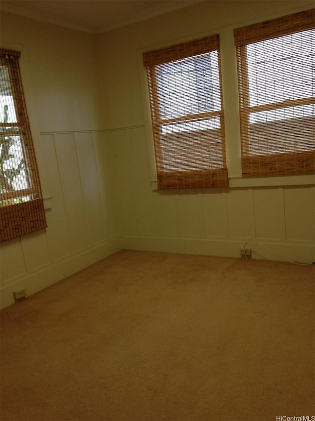 empty room featuring a decorative wall, light carpet, and a wainscoted wall