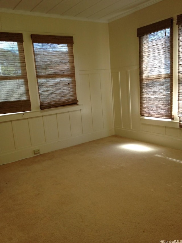 carpeted spare room featuring a decorative wall, ornamental molding, plenty of natural light, and a wainscoted wall