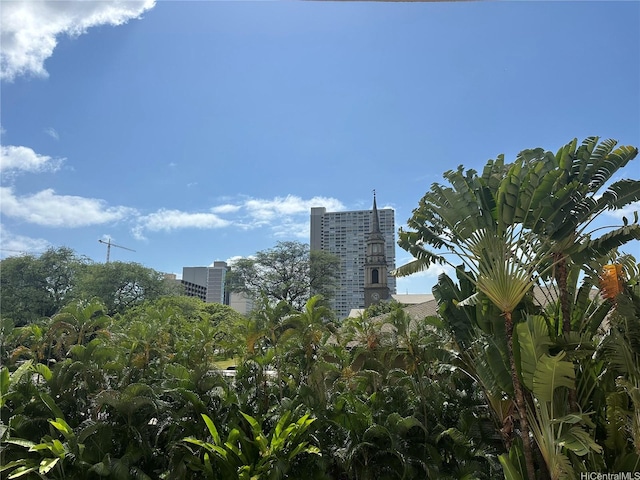 1740 S Beretania St Unit 33, Honolulu, HI 96826 - view of city