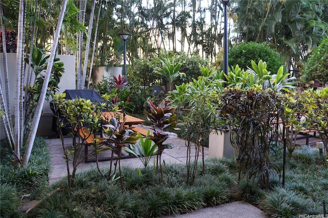 60 N Beretania St Unit 910, Honolulu, HI 96817 - photo 15