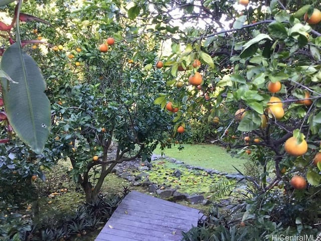 73-1402 Hikimoe St, Kailua Kona, HI 96740 - photo 11
