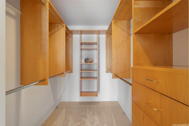 1020 Spencer St Unit 6, Honolulu, HI 96822 - photo 8