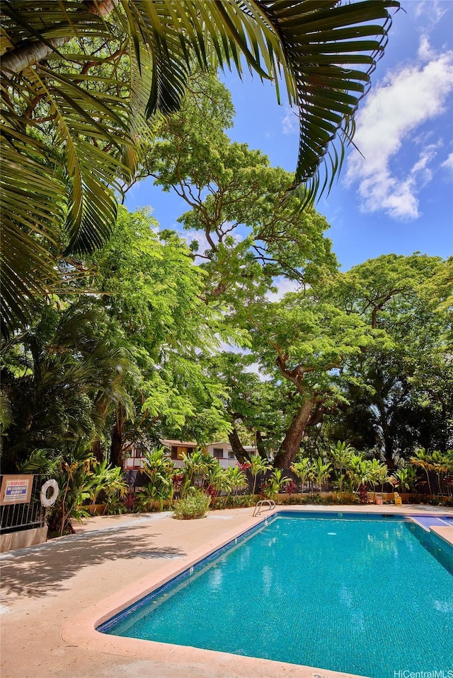 55 S Judd St Unit 2206, Honolulu, HI 96817 - view of community pool