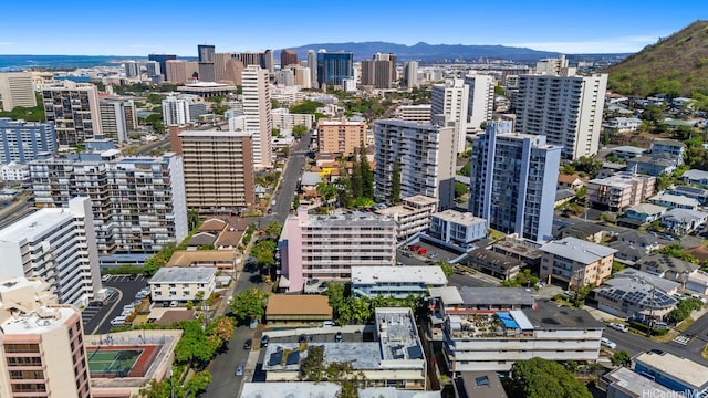 1036 Green St Unit 304, Honolulu, HI 96822 - photo 19