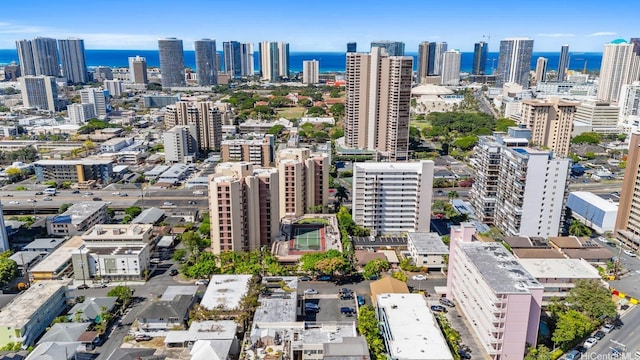 1036 Green St Unit 304, Honolulu, HI 96822 - photo 18