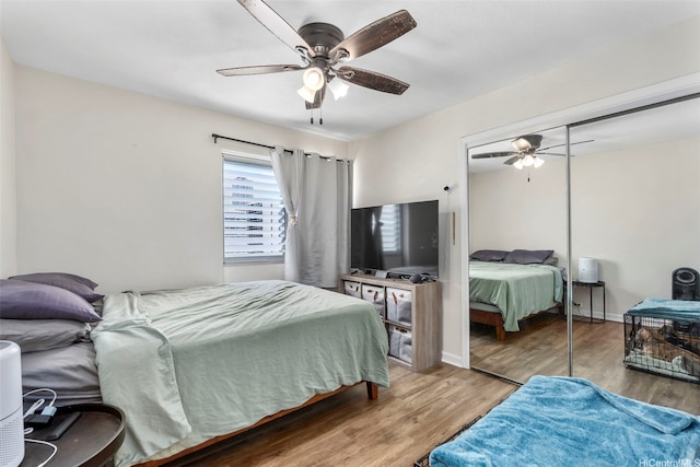509 University Ave Unit 1001, Honolulu, HI 96826 - bedroom featuring wood finished floors, a ceiling fan, and a closet