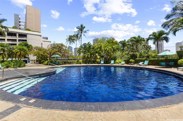 2333 Kapiolani Blvd Unit 1910, Honolulu, HI 96826 - photo 19